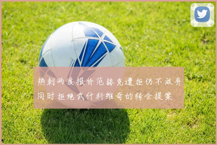 热刺两度报价范赫克遭拒仍不放弃同时拒绝武什科维奇的转会提案
